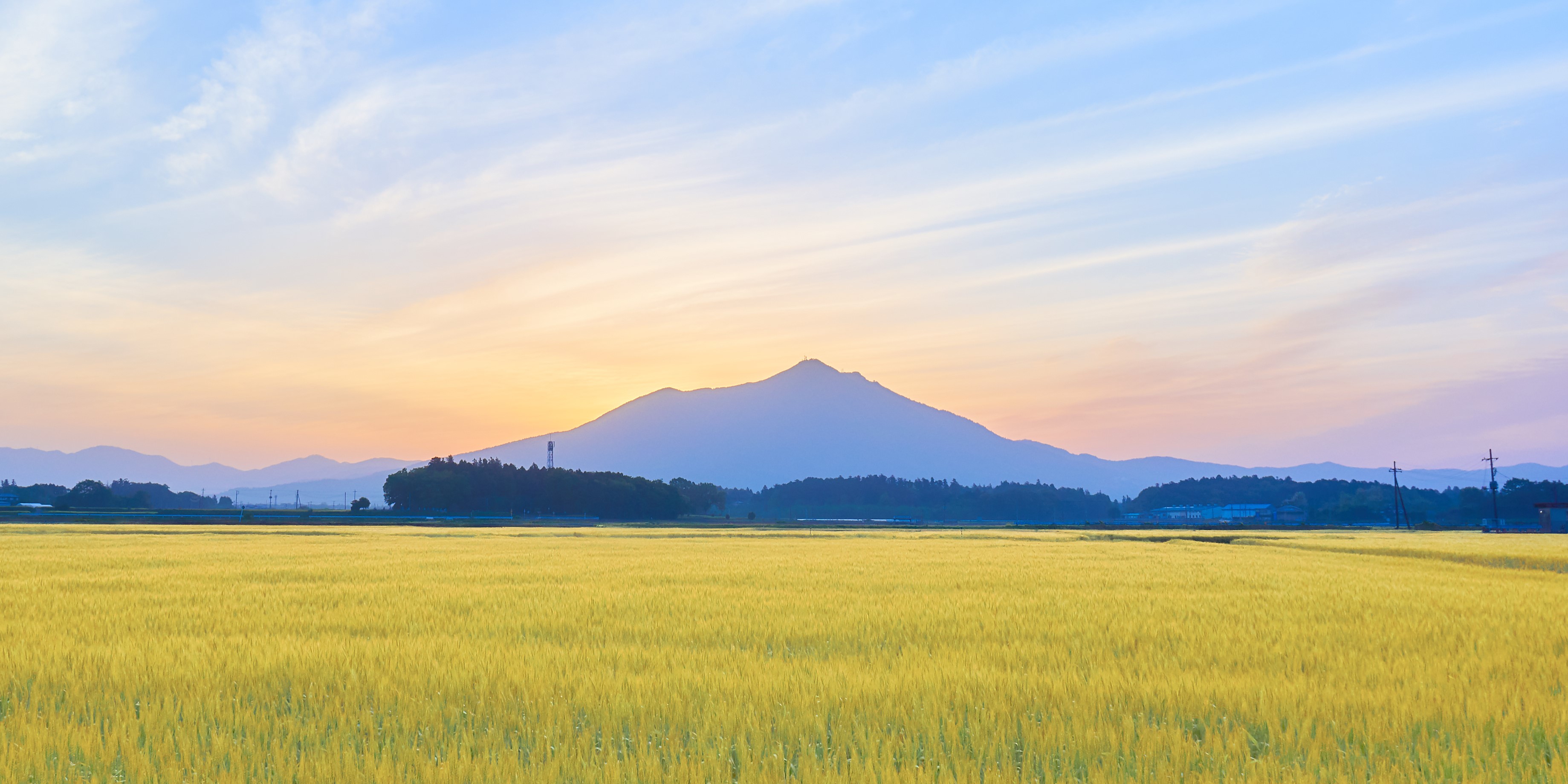 筑波山水源の森づくりでクリーンでグリーンな未来を創造する